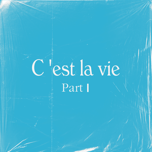 亚洲日韩精品人成在线观看
