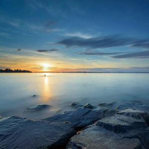 亚洲日韩精品人成在线观看
